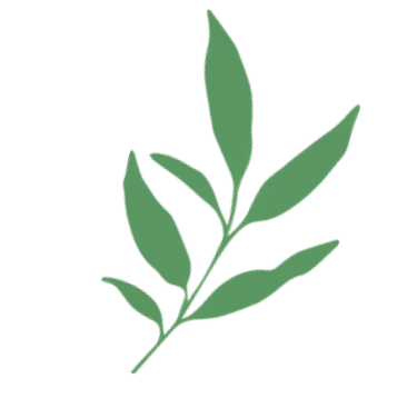 Diseño sin título(52)